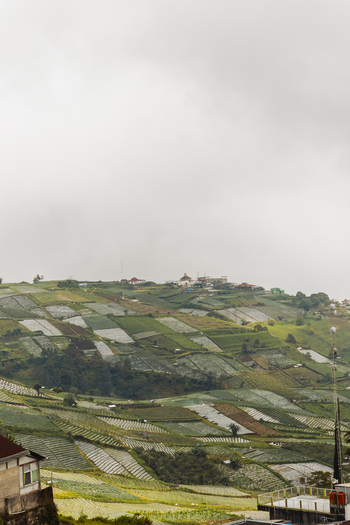 View of the terraced agricultural fields and misty hillsides near Cetho Temple in Kecamatan Jenawi Central Java Indonesia. View of the terraced agricultural fields and misty hillsides near Cetho Temple in Kecamatan Jenawi Central Java Indonesia.