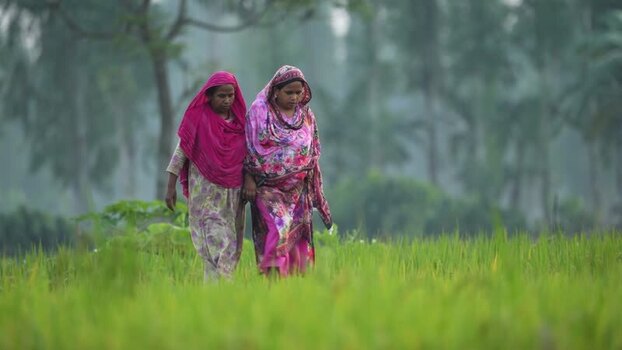 View of women walking through a green field in Bogura Bangladesh.