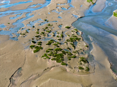 Aerial view of the Baie de Somme showing intricate tidal channels sandbanks and patches of salt marsh vegetation in Saint Valery sur Somme Hauts de France France. Aerial view of the Baie de Somme showing intricate tidal channels sandbanks and patches of salt marsh vegetation in Saint Valery sur Somme Hauts de France France.
