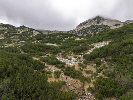 Aerial view of a hiker in a red jacket on a rocky trail through pine forests and mountain slopes of Pirin National Park near Muratovo Lake Blagoevgrad Province Bulgaria. Aerial view of a hiker in a red jacket on a rocky trail through pine forests and mountain slopes of Pirin National Park near Muratovo Lake Blagoevgrad Province Bulgaria.