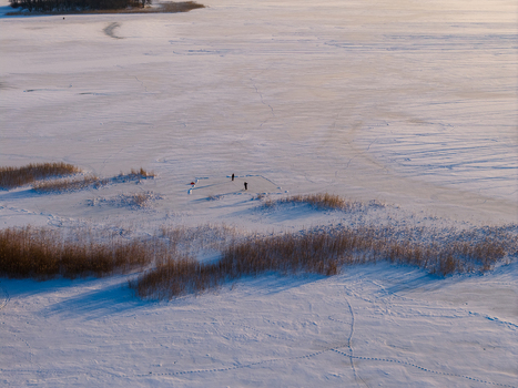 Aerial view of people standing on a vast frozen lake covered in snow with dry reeds and footprints in Lithuania. Aerial view of people standing on a vast frozen lake covered in snow with dry reeds and footprints in Lithuania.