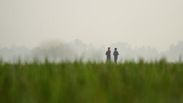 View of two boys in a green field in Bogura Bangladesh. View of two boys in a green field in Bogura Bangladesh.