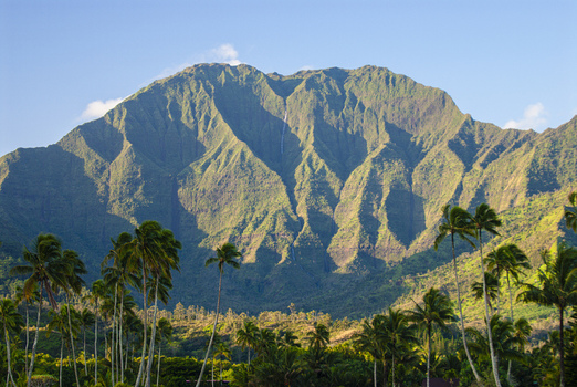 View of the lush green ridges of the Hanalei mountains rising above a foreground of tropical palm trees under a clear blue sky in Hanalei Hawaii United States. View of the lush green ridges of the Hanalei mountains rising above a foreground of tropical palm trees under a clear blue sky in Hanalei Hawaii United States.