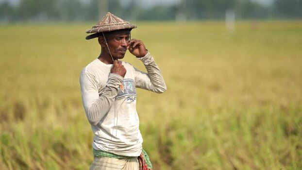 View of a farmer in a traditional hat in a rice field Bangladesh. View of a farmer in a traditional hat in a rice field Bangladesh.