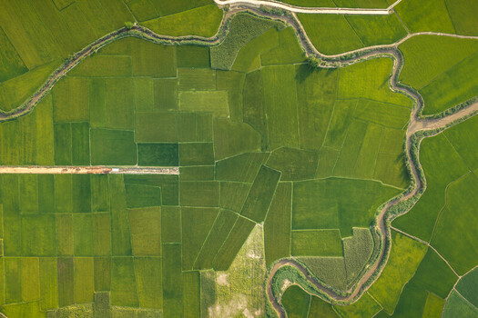 Aerial view of the lush green rice paddies surrounding Lak Lake featuring a winding river and geometric agricultural fields in Lien Son Lak Dak Lak Vietnam. Aerial view of the lush green rice paddies surrounding Lak Lake featuring a winding river and geometric agricultural fields in Lien Son Lak Dak Lak Vietnam.