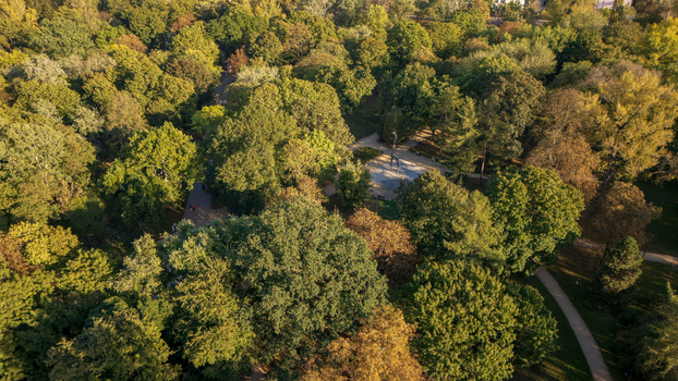 Aerial view of the sea of green and gold treetops in Park Praski where sunlight paints dappled patterns on winding pathways Warsaw Poland. Aerial view of the sea of green and gold treetops in Park Praski where sunlight paints dappled patterns on winding pathways Warsaw Poland.