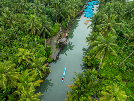Aerial view of a small boat navigating the calm waters of the Coconut river surrounded by dense palm trees and lush tropical vegetation in Siargao Philippines. Aerial view of a small boat navigating the calm waters of the Coconut river surrounded by dense palm trees and lush tropical vegetation in Siargao Philippines.