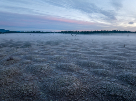 Aerial view of frost covered earth mounds at Mima Mounds Natural Area Preserve under a misty dawn sky Olympia Washington United States.