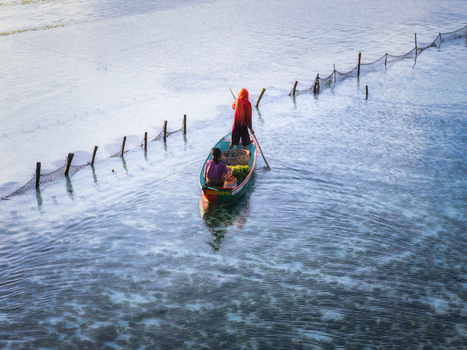 Aerial view of a boat gently glides through the shimmering waters framed by rustic wooden posts and netting Lembongan Bali Indonesia. Aerial view of a boat gently glides through the shimmering waters framed by rustic wooden posts and netting Lembongan Bali Indonesia.