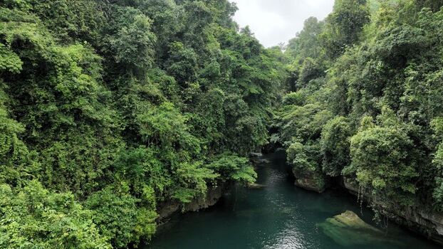 Aerial view of a river flowing through a lush dense tropical forest with vibrant green canopy and rocky riverbanks in Pangandaran Regency West Java Indonesia. Aerial view of a river flowing through a lush dense tropical forest with vibrant green canopy and rocky riverbanks in Pangandaran Regency West Java Indonesia.