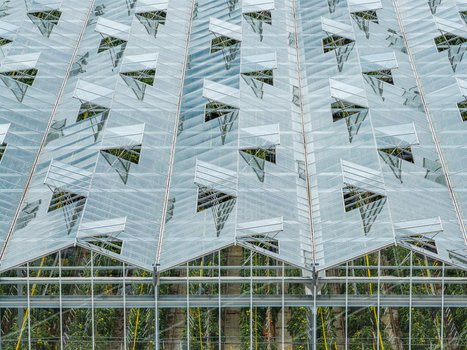 Aerial view of a large greenhouse with glass roof panels and ventilation flaps open revealing rows of plants growing inside in Masovian Voivodeship Poland. Aerial view of a large greenhouse with glass roof panels and ventilation flaps open revealing rows of plants growing inside in Masovian Voivodeship Poland.