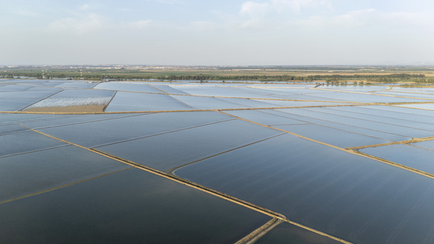 Aerial view of the flooded rice fields of Isla Minima with geometric water patterns and agricultural paths under a clear sky in Coria del Rio Andalusia Spain. Aerial view of the flooded rice fields of Isla Minima with geometric water patterns and agricultural paths under a clear sky in Coria del Rio Andalusia Spain.