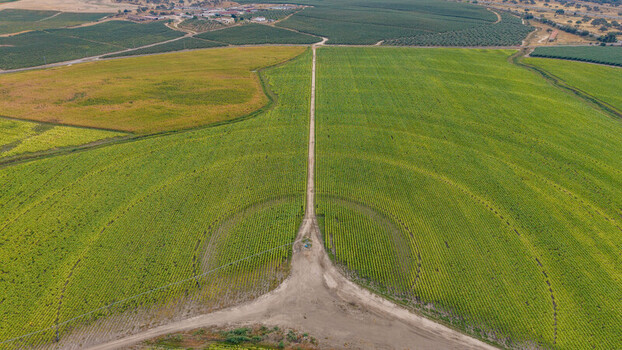 Aerial view of a large circular irrigation pattern in a green crop field with a dirt path leading through the center in Talayuela Extremadura Spain. Aerial view of a large circular irrigation pattern in a green crop field with a dirt path leading through the center in Talayuela Extremadura Spain.