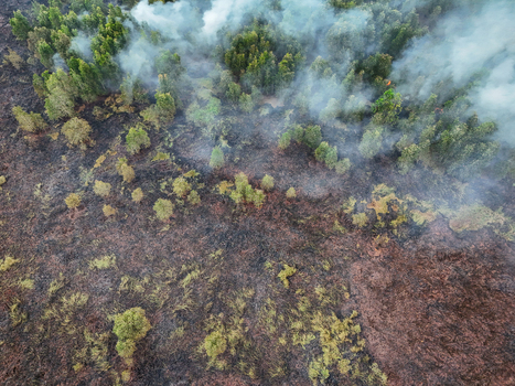 Aerial view of a forest fire with thick smoke rising from burning vegetation and scorched earth in Indonesia. Aerial view of a forest fire with thick smoke rising from burning vegetation and scorched earth in Indonesia.