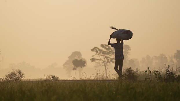 View of a worker carrying a sack in a misty field Bangladesh. View of a worker carrying a sack in a misty field Bangladesh.