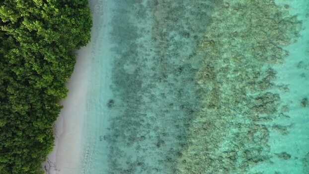 Aerial view of a tropical beach and coral reef in Maldives.
