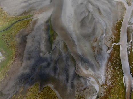 Aerial view of abstract tidal patterns at Culbin Sands featuring intricate channels wet sand and patches of green marshland in Nairn Scotland United Kingdom. Aerial view of abstract tidal patterns at Culbin Sands featuring intricate channels wet sand and patches of green marshland in Nairn Scotland United Kingdom.