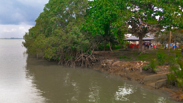 Aerial view of a riverbank lined with mangrove trees a small wooden shelter and people gathering near the water in Minima Rivers Nigeria.