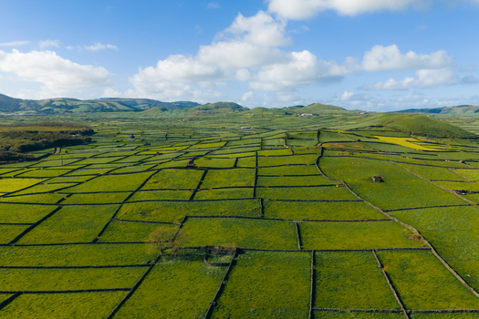 Aerial view of Pico Dona Joana and the characteristic patchwork of green pastures divided by volcanic stone walls under a blue sky in Feteira Acores Portugal.