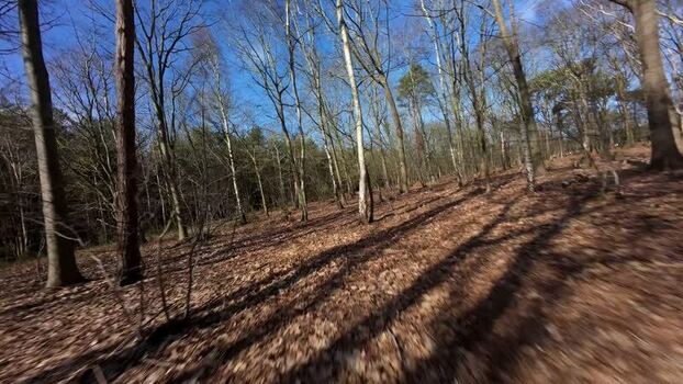 Aerial FPV view of a forest floor United Kingdom. Aerial FPV view of a forest floor United Kingdom.