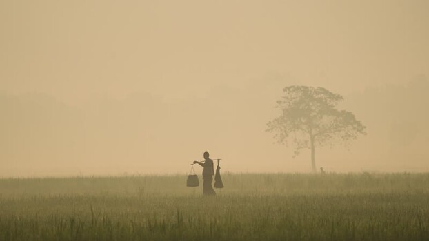View of a farmer in a misty field Bangladesh. View of a farmer in a misty field Bangladesh.