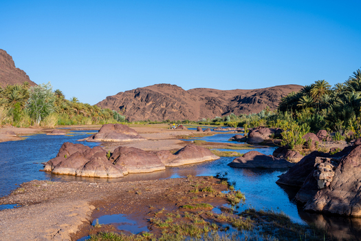 View of Fint Oasis with rocky riverbed formations lush palm trees and clear blue sky in Tarmigte Draa Tafilalet Morocco.