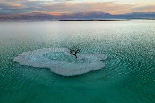 Aerial view of a solitary tree standing resiliently on a pristine white salt island amidst the vibrant turquoise and emerald waters of the Dead Sea Ein Bokek Israel. Aerial view of a solitary tree standing resiliently on a pristine white salt island amidst the vibrant turquoise and emerald waters of the Dead Sea Ein Bokek Israel.