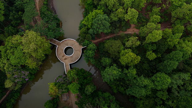 Aerial view of a circular bridge structure over a narrow stream surrounded by dense green forest and lush trees in Sherpur Mymensingh Bangladesh.