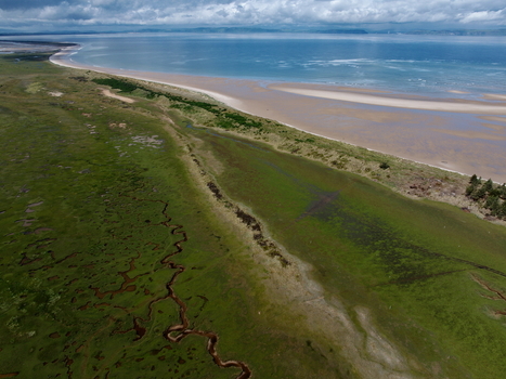 Aerial view of Moray Firth Coast featuring winding tidal channels through lush green salt marshes sandy beaches and the expansive sea under a cloudy sky in Nairn Scotland United Kingdom.