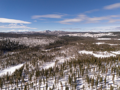 Aerial view of burnt forest landscape with snow covered ground and distant mountains under a clear blue sky in Oregon United States. Aerial view of burnt forest landscape with snow covered ground and distant mountains under a clear blue sky in Oregon United States.