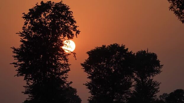 View of sunset behind silhouetted trees in Bangladesh. View of sunset behind silhouetted trees in Bangladesh.