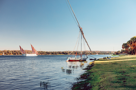 View of traditional felucca sailboats with red and white striped sails on the Nile river with people sitting on a grassy bank with palm trees in Aswan Aswan Governorate Egypt. View of traditional felucca sailboats with red and white striped sails on the Nile river with people sitting on a grassy bank with palm trees in Aswan Aswan Governorate Egypt.