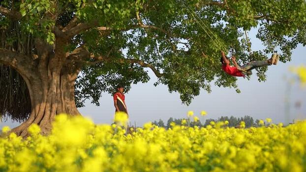 View of a boy swinging from a banyan tree in Bogura Bangladesh. View of a boy swinging from a banyan tree in Bogura Bangladesh.