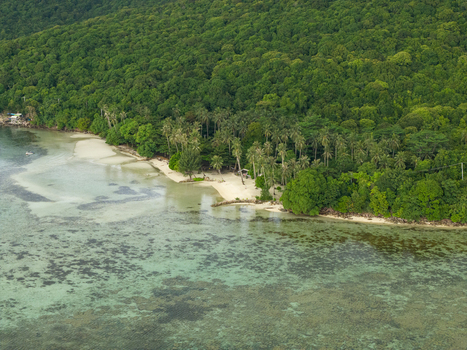 Aerial view of Bobby Beach where turquoise waters meet the creamy shore fringed by verdant forest Karimunjawa Central Java Indonesia.