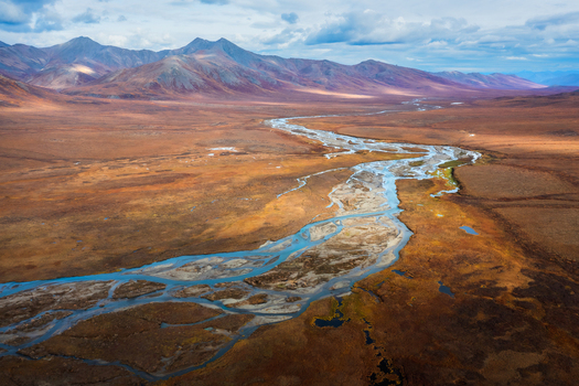 Aerial view of a braided river winding through the vast autumn tundra valley near Dalton Highway with rugged mountains under a cloudy sky in Coldfoot Alaska United States.