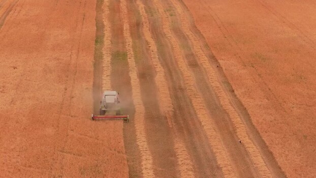 Aerial view of a combine harvester in a wheat field Hungary.