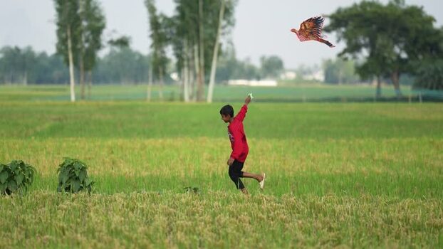 View of a boy flying a bird shaped kite in Bogura Bangladesh. View of a boy flying a bird shaped kite in Bogura Bangladesh.