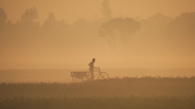 View of a man with a bicycle in a misty field Bangladesh. View of a man with a bicycle in a misty field Bangladesh.