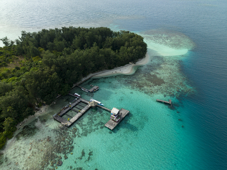 Aerial view of clear turquoise waters meet the lush green island revealing the Shark Breeding Menjangan Kecil Island Karimunjawa Central Java Indonesia.