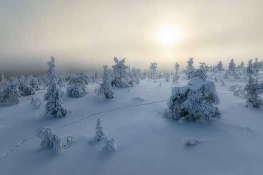 Aerial view of Yllas fell covered in deep snow with frost covered trees under a soft winter sun in the Arctic landscape in Kolari Lapland Finland. Aerial view of Yllas fell covered in deep snow with frost covered trees under a soft winter sun in the Arctic landscape in Kolari Lapland Finland.