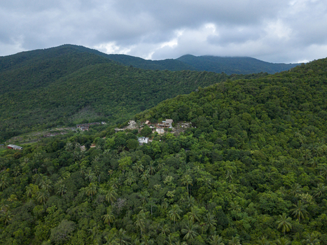 Aerial view of a lush dense forest blanketing rolling hills with a small settlement nestled amidst the green canopy Karimunjawa Jawa Tengah Indonesia. Aerial view of a lush dense forest blanketing rolling hills with a small settlement nestled amidst the green canopy Karimunjawa Jawa Tengah Indonesia.