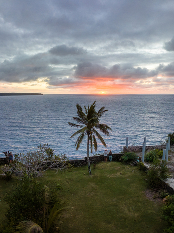 Aerial view of a solitary palm tree standing proudly on a verdant lawn against the backdrop of the tranquil ocean and a fiery sunset Joking Lifou New Caledonia. Aerial view of a solitary palm tree standing proudly on a verdant lawn against the backdrop of the tranquil ocean and a fiery sunset Joking Lifou New Caledonia.