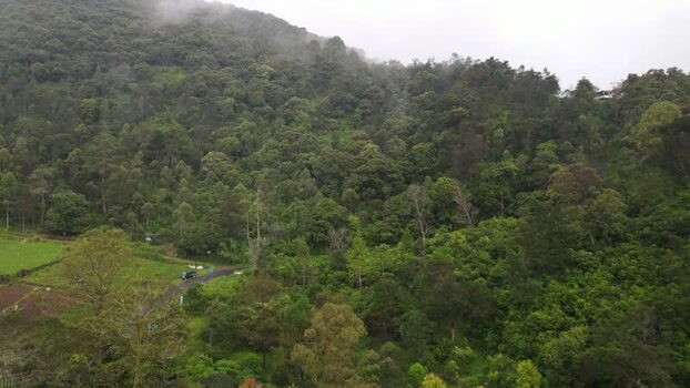 Aerial view of lush green hills and misty forests in Indonesia. Aerial view of lush green hills and misty forests in Indonesia.