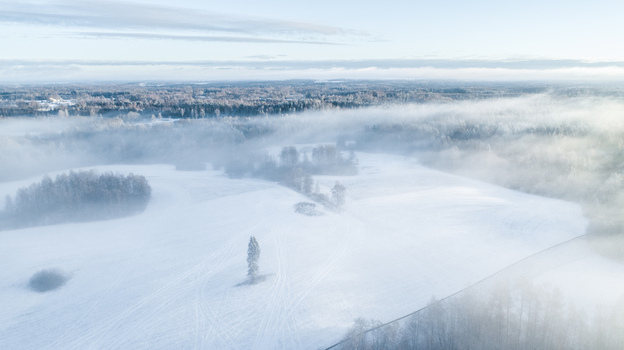 Aerial view of a snow covered landscape with dense fog scattered trees and a solitary pine tree in the middle of a field in Latvia. Aerial view of a snow covered landscape with dense fog scattered trees and a solitary pine tree in the middle of a field in Latvia.