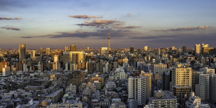 Aerial view of Tokyo s skyline where skyscrapers bask in the warm glow of the setting sun contrasting with the cool blue sky Bunkyo City Tokyo Japan. Aerial view of Tokyo s skyline where skyscrapers bask in the warm glow of the setting sun contrasting with the cool blue sky Bunkyo City Tokyo Japan.