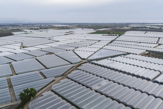 Aerial view of a vast expanse of agricultural greenhouses and polytunnels arranged in geometric patterns across the landscape in Paestum Campania Italy.