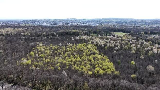 Aerial view of river and forest landscape France.