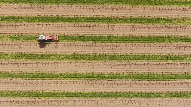 Aerial view of a tractor working in a vineyard in Kyjov Czechia.