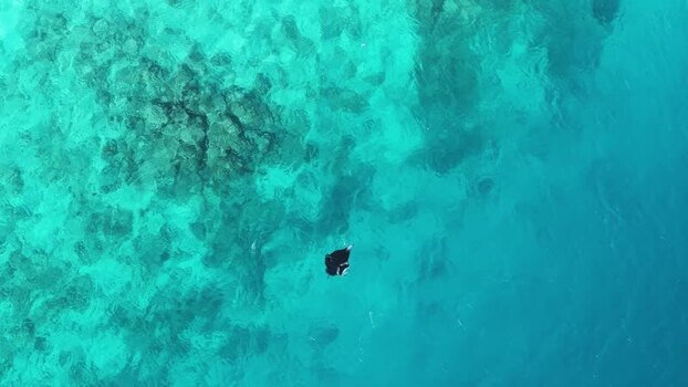 Aerial view of a manta ray swimming in turquoise water Maldives. Aerial view of a manta ray swimming in turquoise water Maldives.