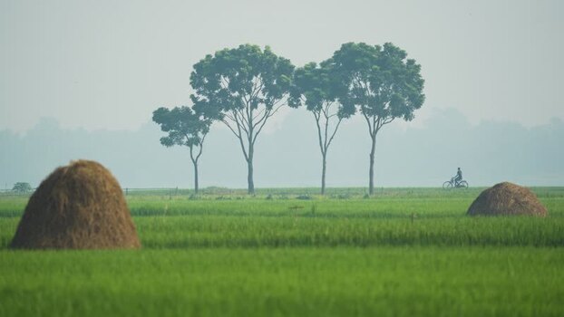 View of a person cycling past haystacks in a rural field Bangladesh.